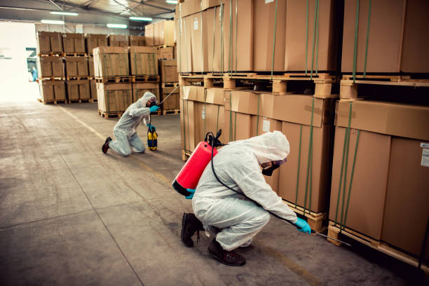 Best Pest Inspection Near Me  in Choteau, MT