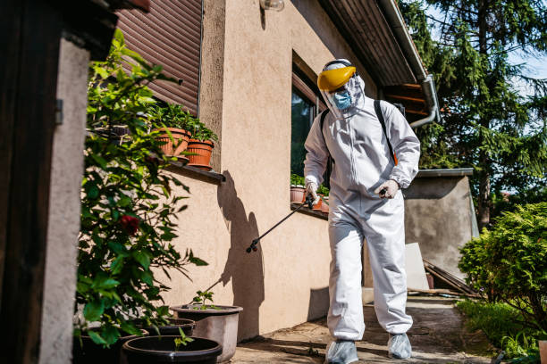 Best Pest Prevention Services  in Choteau, MT