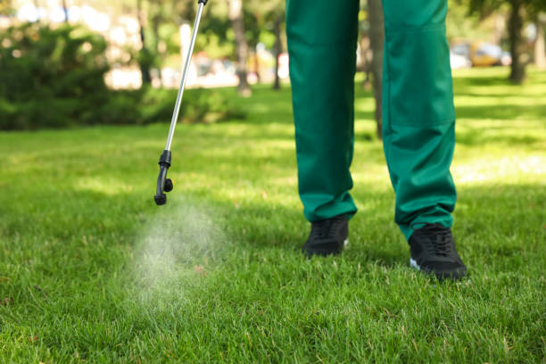 Best Insect Control  in Choteau, MT