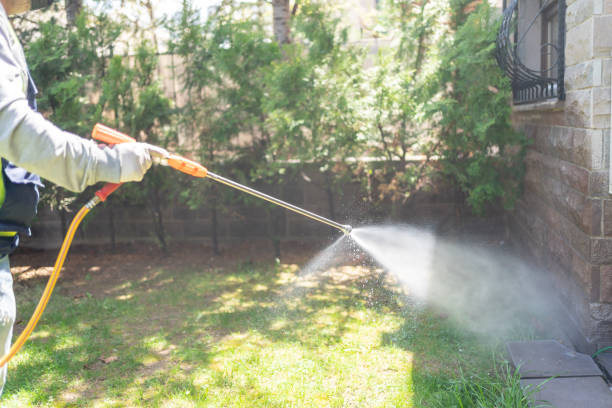 Professional Pest Control in Choteau, MT