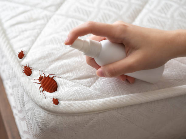 Pest Control for Restaurants in Choteau, MT