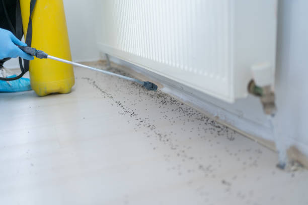Best Best Pest Control Companies  in Choteau, MT
