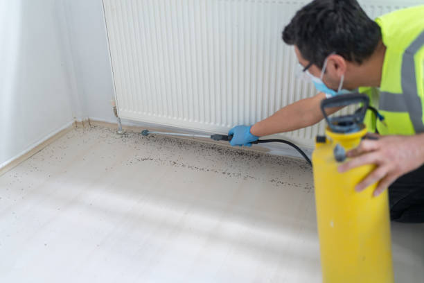 Best Pest Control for Restaurants  in Choteau, MT